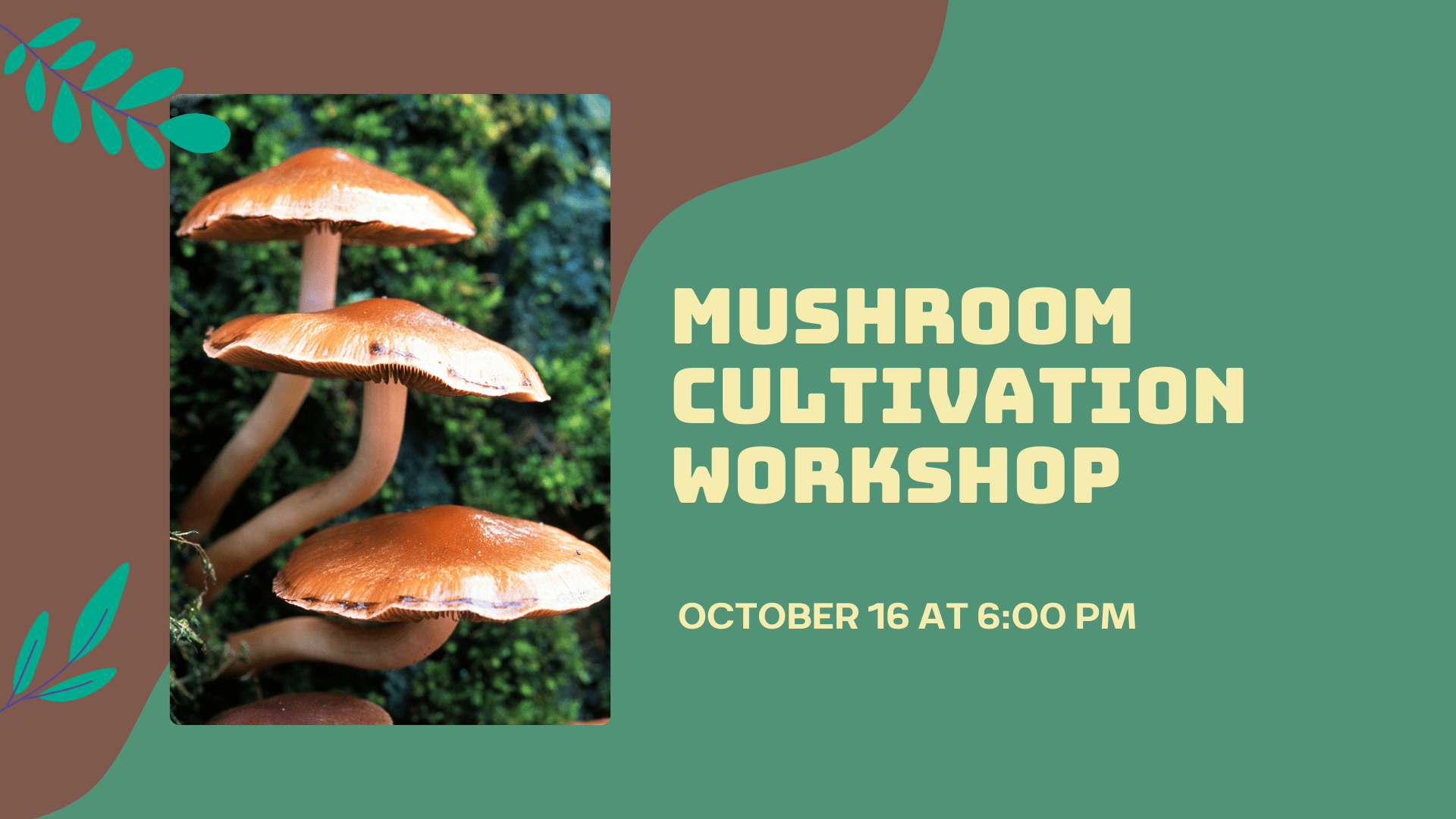 Mushroom Cultivation Workshop wording with mushrooms growing on a log. Event is held on Oct 16 @6pm