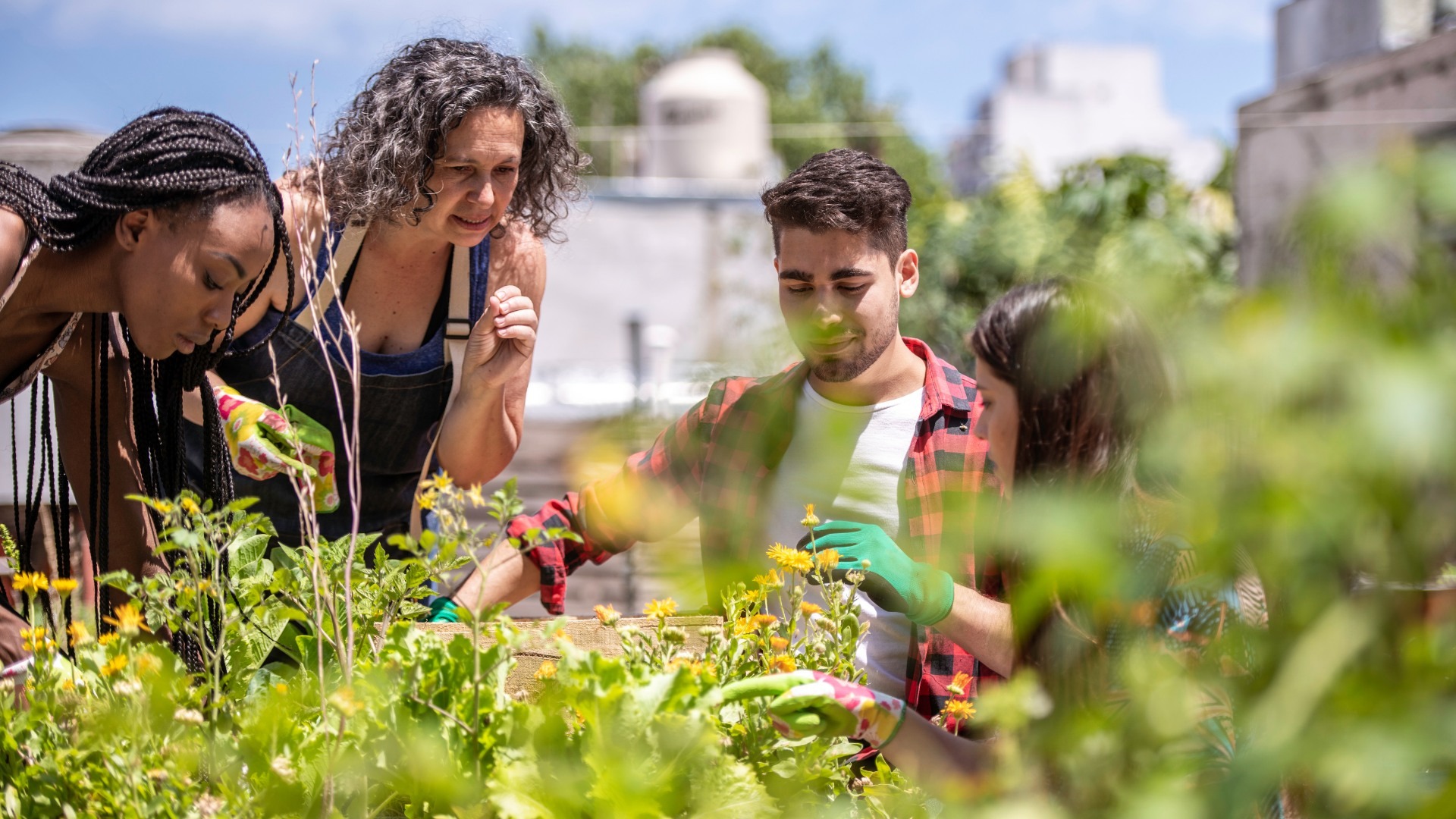 A group of adults looking at plants growing in a garden